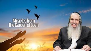 Miracles from the Garden of Eden - Rabbi Shalom Arush