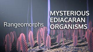 MYSTERIOUS EDIACARAN ORGANISMS - Rangeomorphs