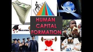 Human Capital Formation- Part 1|Intro|IED