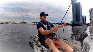 Pinky Snapper Fishing Docklands