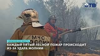 Лесные пожары на Урале. Как тушат огромные возгорания?