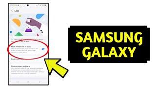 How To Enable Multi Window For All Apps On Samsung Galaxy S24 Ultra