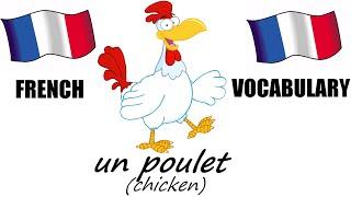 French Lesson 5 - FARM ANIMALS Vocabulary - Learn French - The French Minute