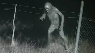 5 Most Terrifying Scary Ghost Videos Caught On Camera | Scary Comp V.96