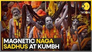 Maha Kumbh Mela 2025: Naga Sadhus' Grand Entry At World's Biggest Gathering | WION EXCLUSIVE