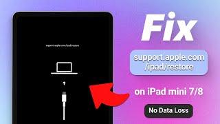 Top 3 Ways to Fix support.apple.com/ipad/restore on iPad mini 6/7/8 (2024)