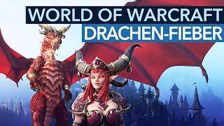 Mit DRAGONFLIGHT findet WoW ein paar alte Stärken - und bringt interessante Neuerungen!