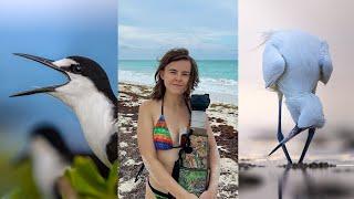 Finding Wildlife in Mexico: Sooty terns, Howler Monkeys & Pelicans!  Cancun, Rio Lagartos, Tulum
