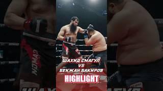 Шахид Смагул vs. АЮ Бакиров #nomadfighting #mmahighlights #knockout