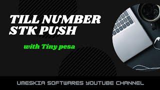 TILL NUMBER MPESA STK PUSH  WITH PHP [TinyPesa]