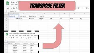 Transpose Filter (like Vlookup for multiple data instances)