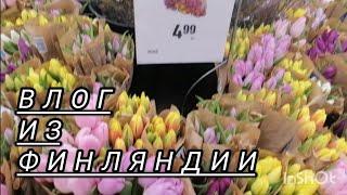 Обычные дни, чем кормим собаку #vlog #влог #funny