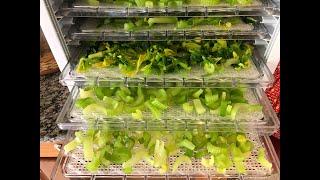 Dehydrating Celery