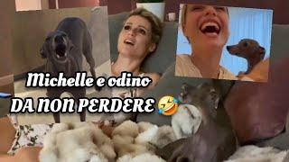 DA NON PERDERE Michelle Hunziker e odino