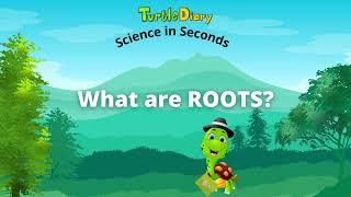 What Are Roots? Plant Science *Science in Seconds* TurtleDiary.com