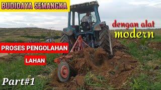 BUDIDAYA SEMANGKA !! Proses pengolahan lahan part#1