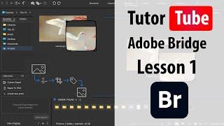 Adobe Bridge - Lesson 1 - Adobe Bridge Interface