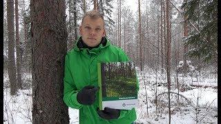 Купил лес в Финляндии. 15 ГЕКТАР своей ЗЕМЛИ.