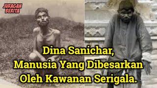 Inilah Video Dina Sanichar Manusia Yang Dibesarkan Oleh Kawanan Serigala