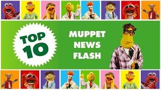 Top Ten: Muppet News Flash | The Muppets
