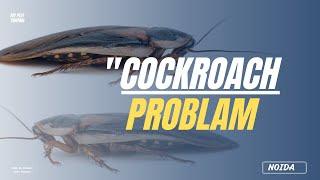 "Keeping Your Home Cockroach-Free: Proven Pest Control Techniques" | mv pest control #pestcontrol