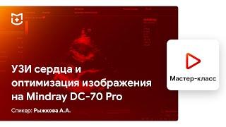 УЗИ сердца и оптимизация изображения на Mindray DC-70 Pro