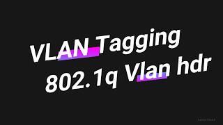 Ethernet Header - 802 1Q Vlan hdr | VLAN TAGGING | Networking Online Courses