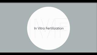 What is in vitro fertilization (IVF)?