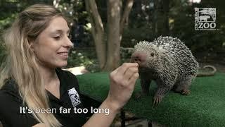 Cincinnati Zoo & Botanical Garden Ready to Open