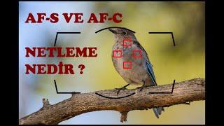 NETLEME MODLARI NELERDİR? AF-S, AF-C, VE MANUEL NETLEME NASIL KULLANILIR?