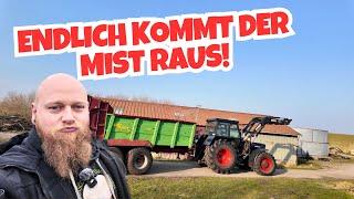 Miststreuer am 600er BLACK BEAUTY Fendt - FarmVLOG#1070