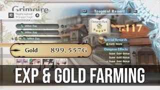 Fast EXP and Gold Farming - Shining Resonance Refrain