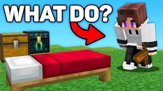 I Pretended to Be a Noob in Minecraft Bedwars