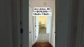 $479,000 Ann Arbor, MI Condo Tour: 1 Bed, 1 Bath!