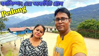 Pedong tour plan | offbeat kalimpong | offbeat north bengal | Damsang Valley Pedong | পেডং ভ্রমণ