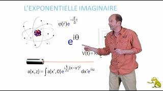 La fonction exponentielle imaginaire