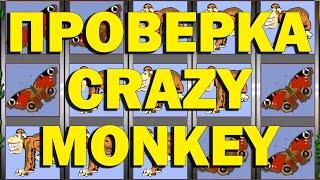 ПРОВЕРКА САЙТА КАЗИНО ВУЛКАН В ИГРОВОМ АВТОМАТЕ CRAZY MONKEY!