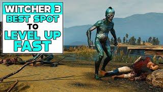 THE WITCHER 3 BEST SPOT TO LEVEL UP FAST