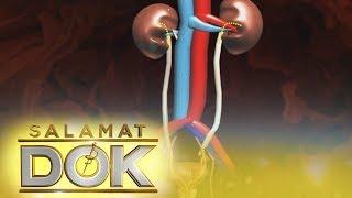 Salamat dok: Functions of kidneys and different causes of kidney failure