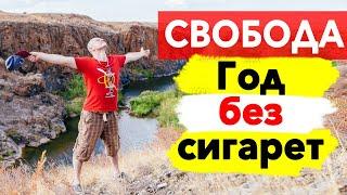 Что будет, если бросить курить? Год без сигарет