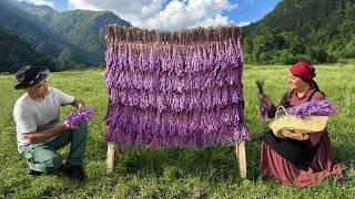 Harvesting Wild Mountain Lavender and Cooking Traditional Meats! A Cozy Life Away from Civilization