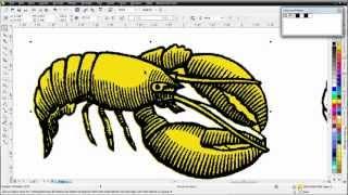 CorelDRAW X6 for Beginners Mono Chrome and Production Art Work