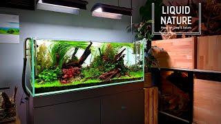 BEAUTIFUL PLANTED TANKS - LIQUID NATURE SHOWROOM - CINEMATIC EDITION