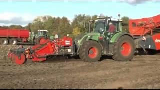 Frontroder - Kartoffel roden bei Dijkhuis Hofman bij Muntendam (NL) mit eine TOLMAC MT12 Frontroder