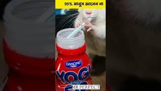 99% মানুষ যা আজ পর্যন্ত জানত না #amazing #fact