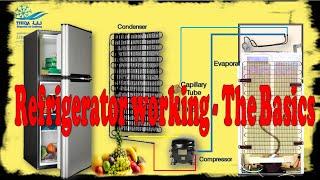 Main Electrical Parts in a Home Refrigerator and how to Connect them. #fridge #refrigerator