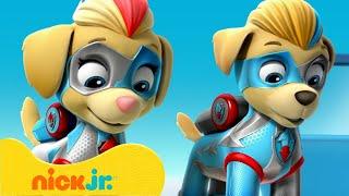 PAW Patrol | Die besten Momente mit den PAW Patrol Mighty Twins! | Nick Jr. Deutschland