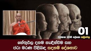 හේතුඵල දහම හැඳින්වීම සහ ජරා මරණ පිළිබඳ සදහම් දේශනාව | Shraddha TV