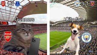 CAT MEMES  Arsenal  Manchester City  title race