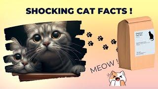 8 Shocking Cat Facts You Never Know 